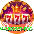 willow cricket Slots Max v5.0.7