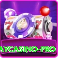 yaycasino Pro New